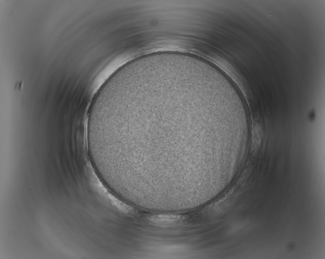 X0000115581290200912081017