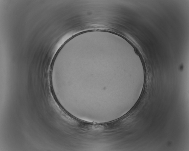 X0000115581291200912081017