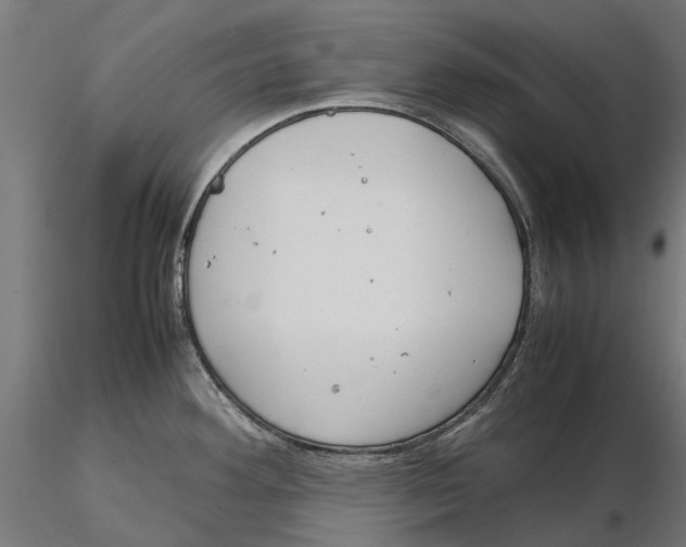 X0000115581292200912081017