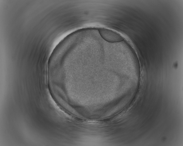 X0000115581295200912081017