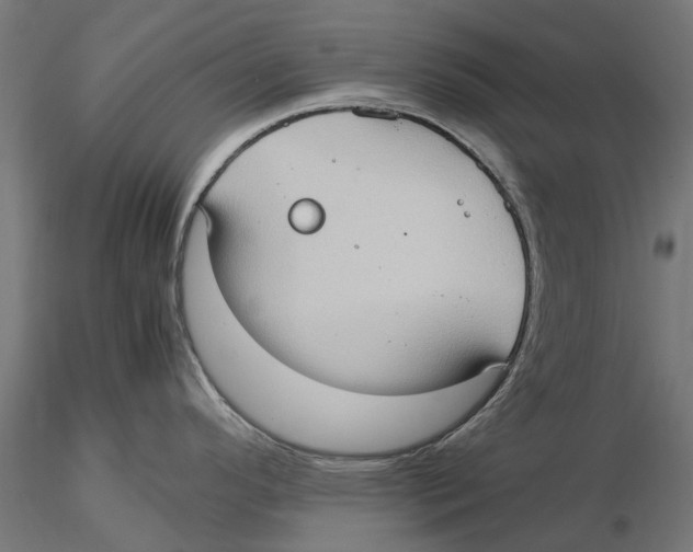 X0000115581296200912081017