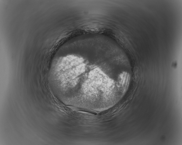 X0000115581297200912081016