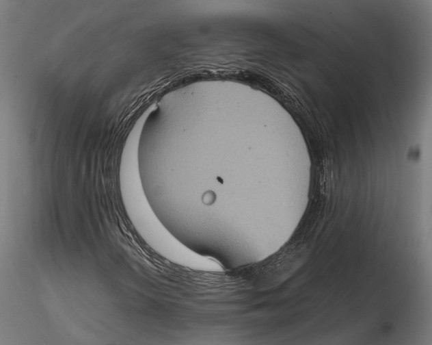 X0000115581298200912081016