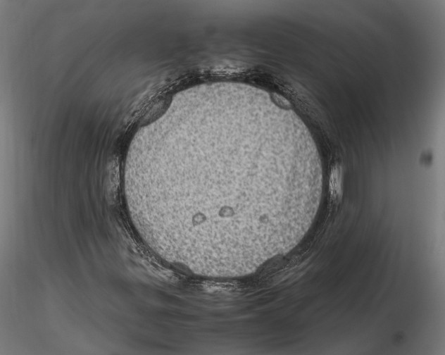 X0000115581299200912081016