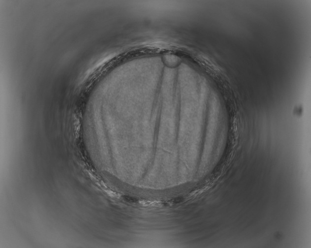 X0000115581302200912081016