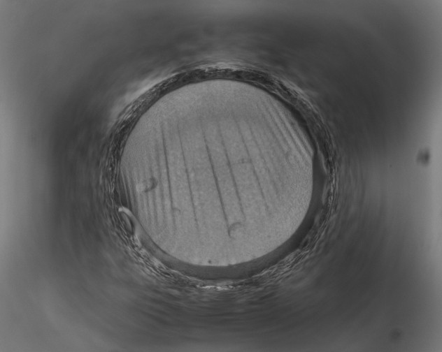 X0000115581303200912081016