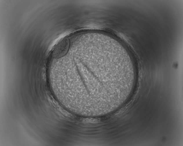 X0000115581307200912081016