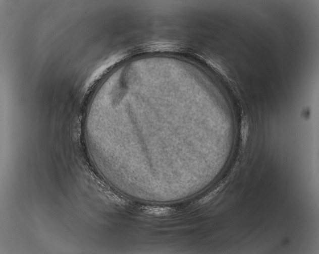 X0000115581309200912081016