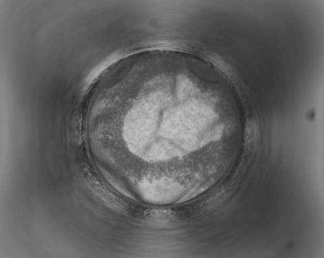 X0000115581310200912081016