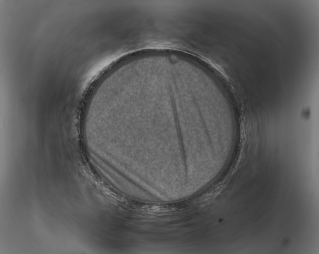 X0000115581311200912081016