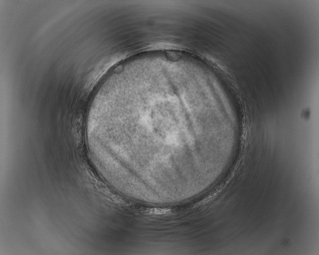 X0000115581313200912081016