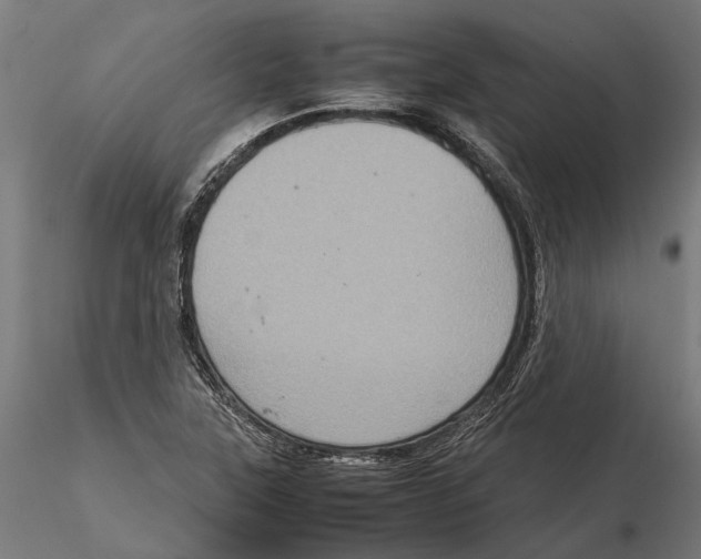 X0000115581315200912081016