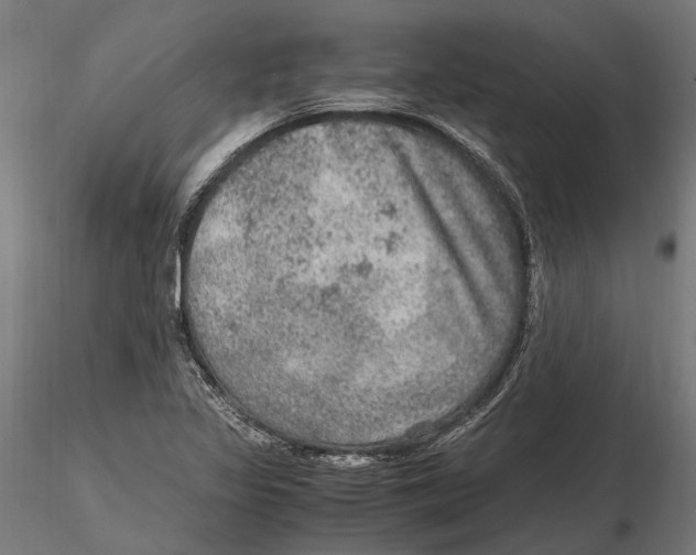 X0000115581317200912081016