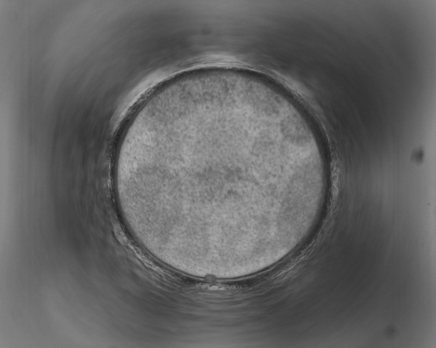 X0000115581318200912081016