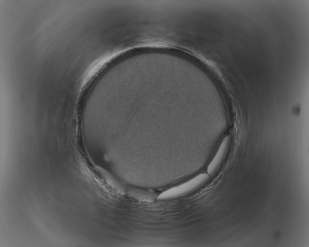 X0000115581319200912081016