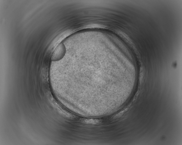 X0000115581321200912081016