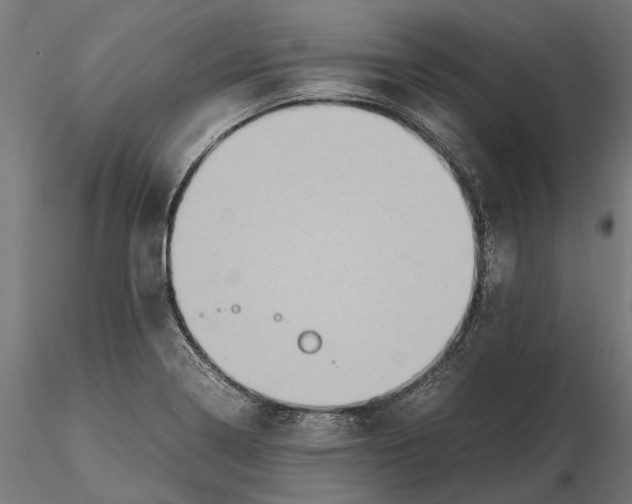 X0000115581322200912081016