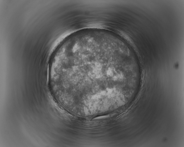 X0000115581323200912081016