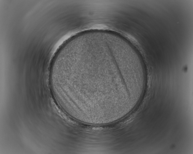 X0000115581326200912081016