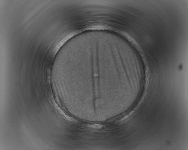 X0000115581329200912081016