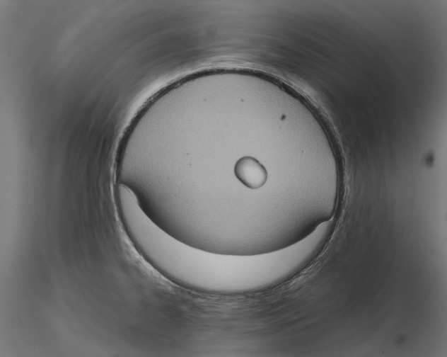 X0000115581334200912081016