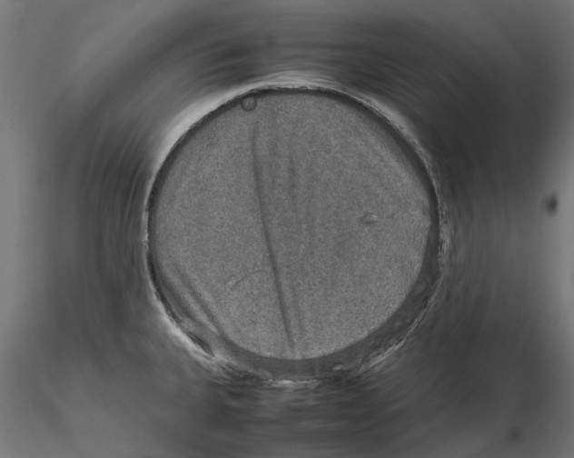 X0000115581335200912081016