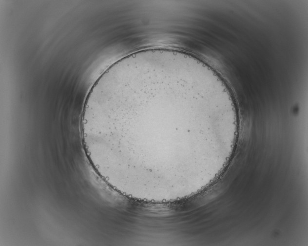 X0000115581338200912081017