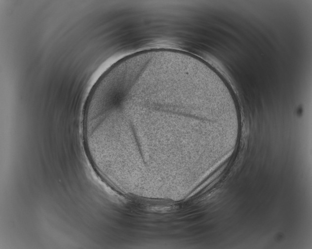 X0000115581339200912081017