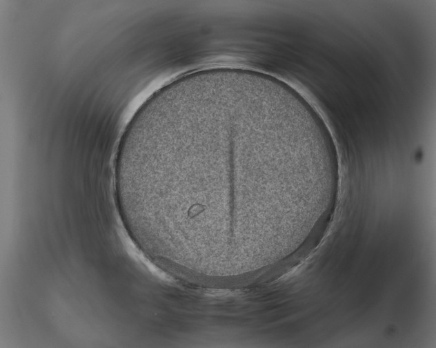 X0000115581341200912081017