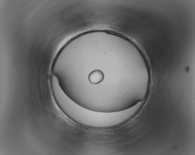 X0000115581342200912081017