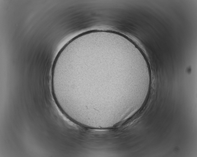 X0000115581343200912081017