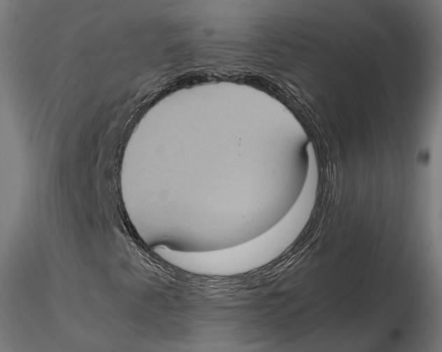 X0000115581345200912081016