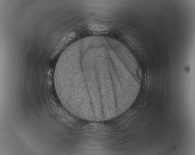 X0000115581346200912081016