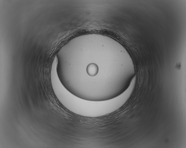 X0000115581348200912081016