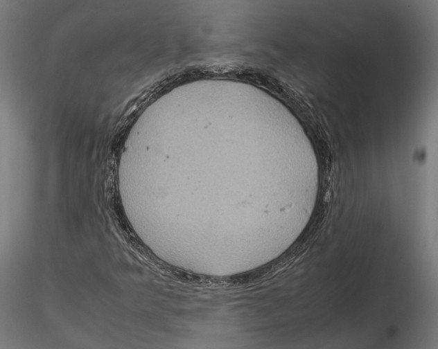 X0000115581349200912081016