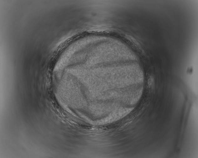 X0000115581350200912081016