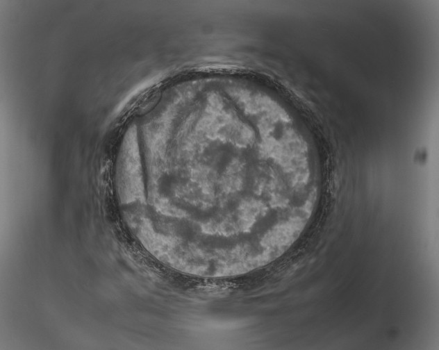 X0000115581351200912081016