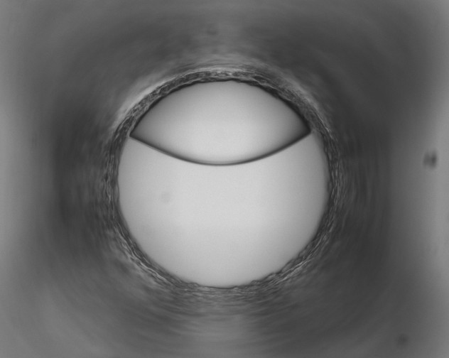 X0000115581352200912081016