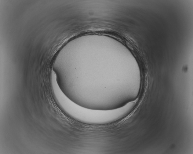 X0000115581353200912081016