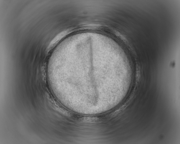 X0000115581354200912081016