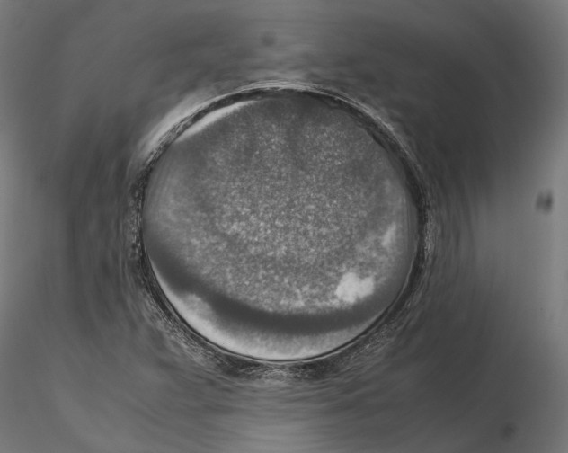 X0000115581359200912081016