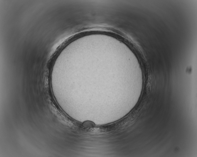 X0000115581360200912081016