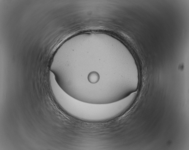 X0000115581361200912081016