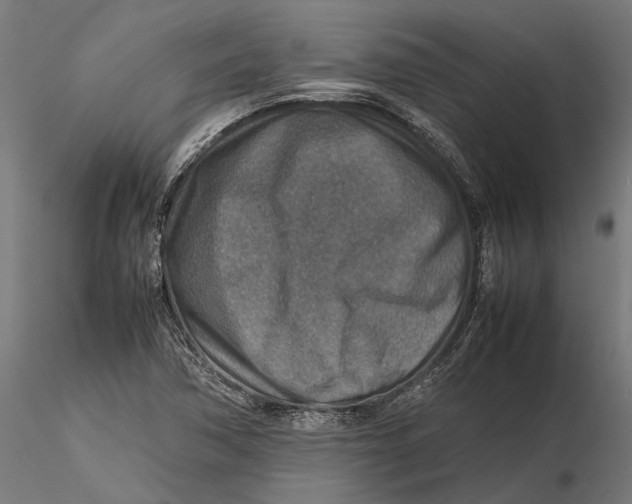 X0000115581362200912081016