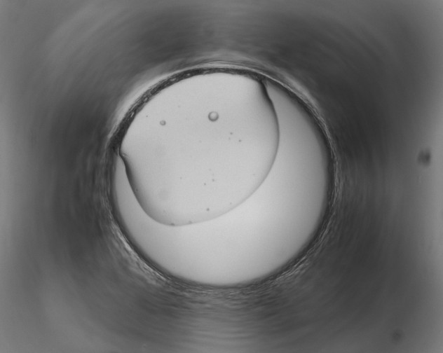 X0000115581368200912081016