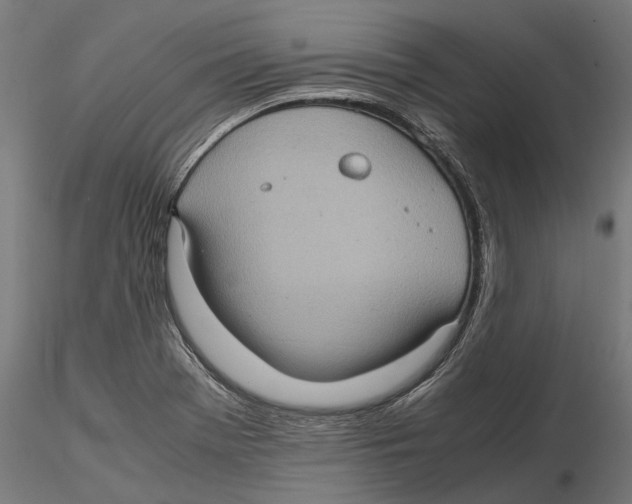 X0000115581369200912081016