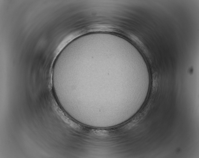 X0000115581370200912081016