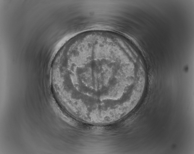 X0000115581371200912081016