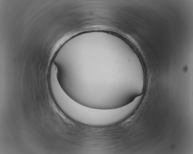 X0000115581373200912081016