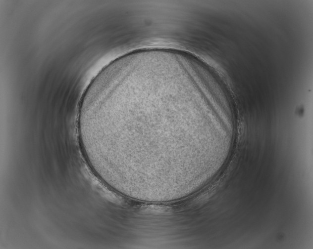 X0000115581374200912081016